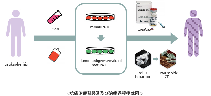 抗癌治療剤製造及び治療過程模式図