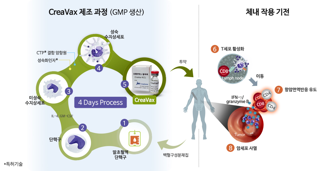 항암 치료제 제조 및 치료과정 모식